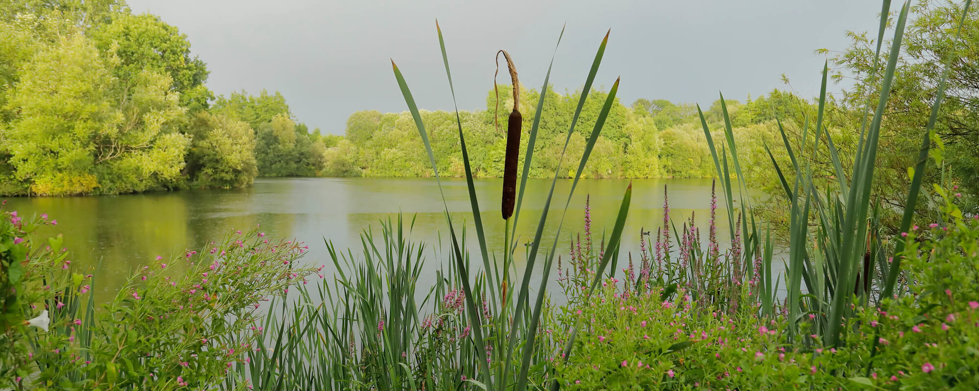 Little Marlow Lakes Country Park