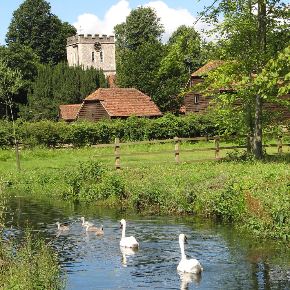 St John the Baptist church with swans